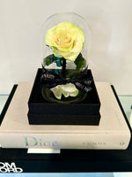 White & Green Medium Everlasting Rose Dome