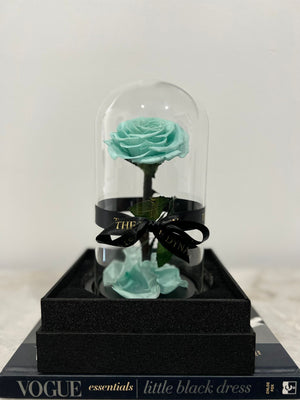 Tiffany Blue Medium Everlasting Rose Dome – The Rose Dynasty