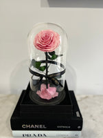 Pink Large Everlasting Rose Dome