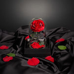 Red Medium Size Everlasting Rose Dome (with gift box)