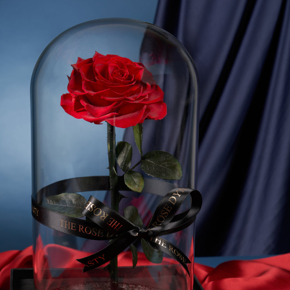 Red Large Everlasting Rose Dome (with gift box)